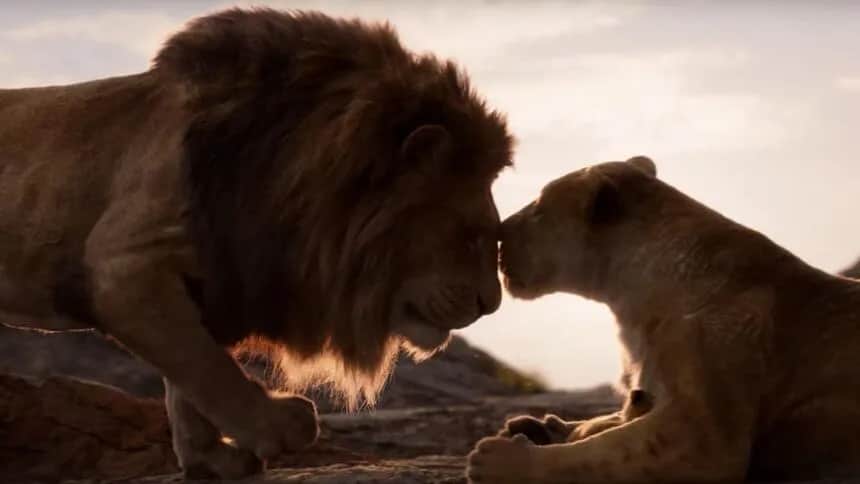 Kto śpiewa Miłość rośnie wokół nas w obu wersjach Króla Lwa - Lista